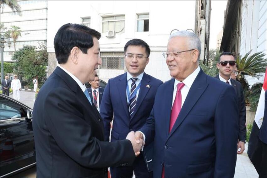 Chủ tịch nước Lương Cường hội kiến Chủ tịch Hạ viện Ai Cập