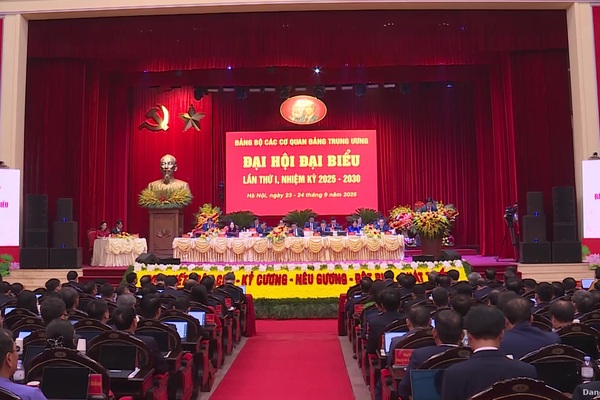 vide kiểm tra