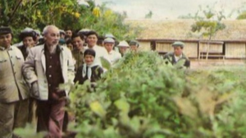 Bác Hồ về thăm quê